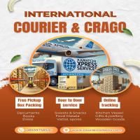 chennai to usa courier