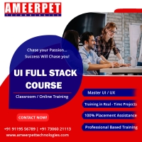 UI full stack developer course