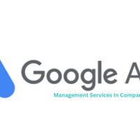 Google Ads Management Services Company In Nagpur