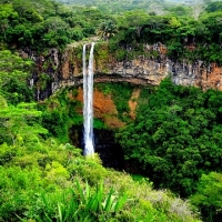 Mauritius Tour Packages: Witness the Isle of Wonder!