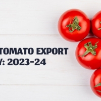 Turkey Customs Data | Turkey Import Export Data