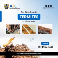 Termite Control Services in Hyderabad