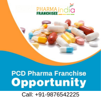 Best PCD Pharma Franchise Opportunity in India