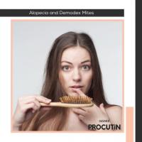 How Demodex mites can cause alopecia?