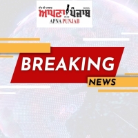 Punjab News | Latest Punjabi News | Punjabi Newspaper | Punjabi E- paper | Apna Punjab Media