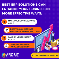 TOP ERP software development company